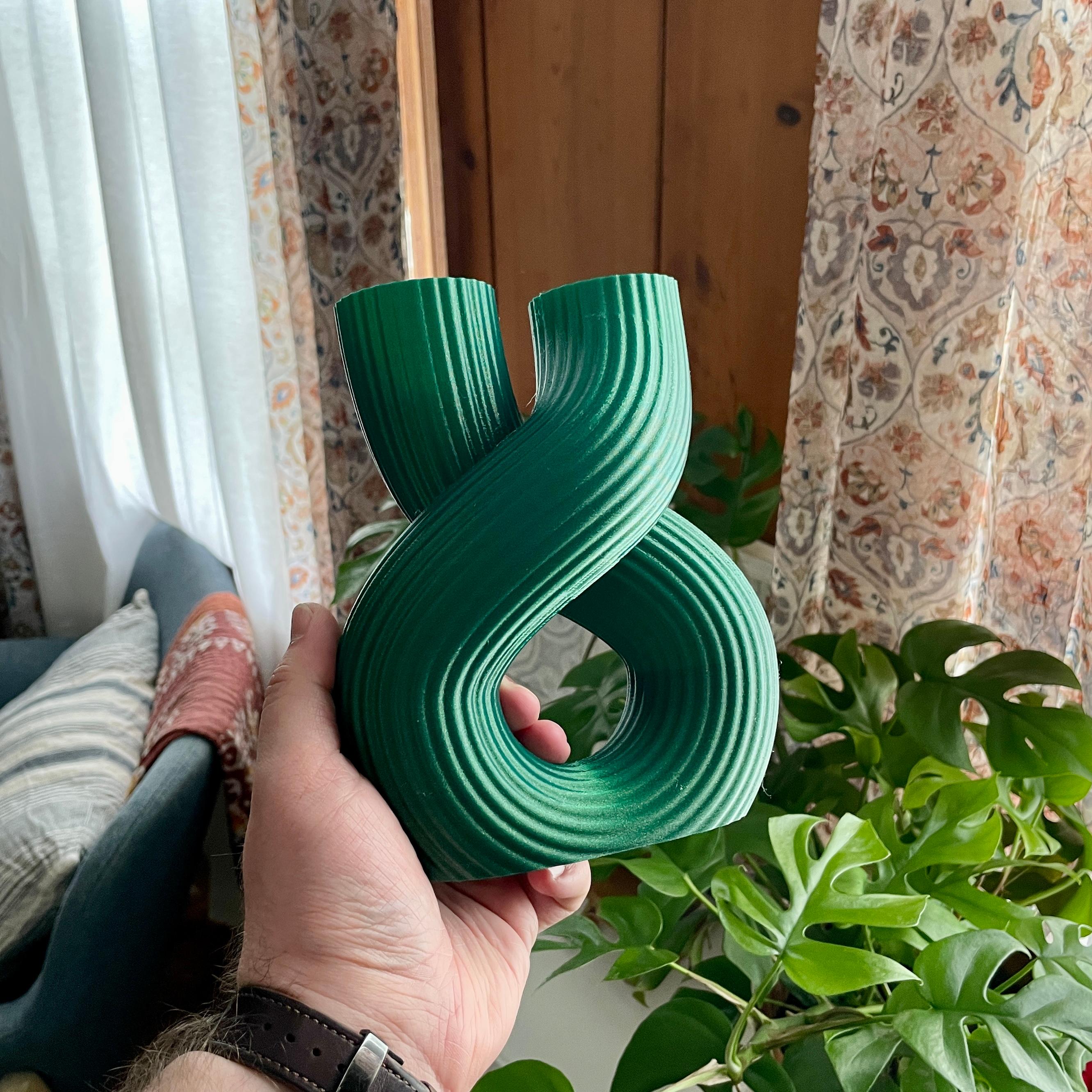 The Infinity Vase 3d model