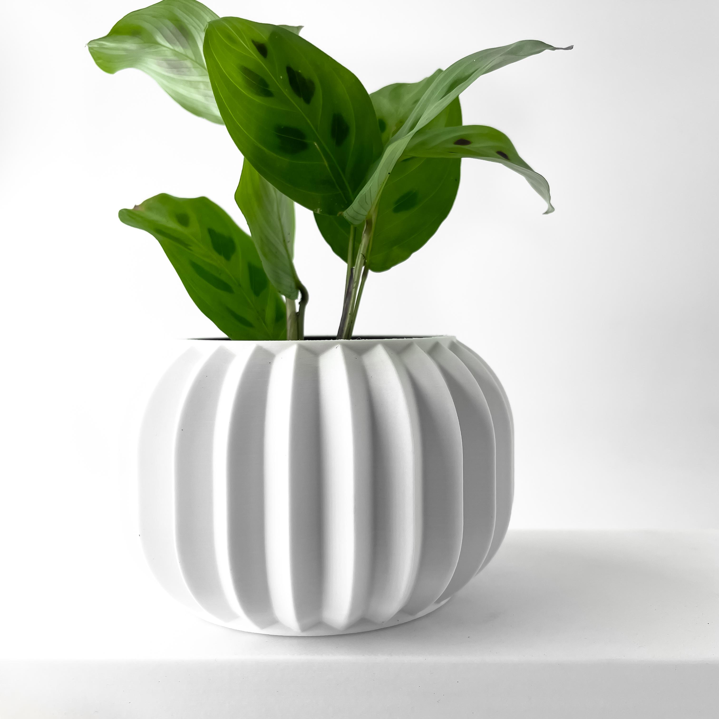 The Olin Planter Pot with Drainage Tray & Stand | Modern and Unique Home Decor for Plants 3d model