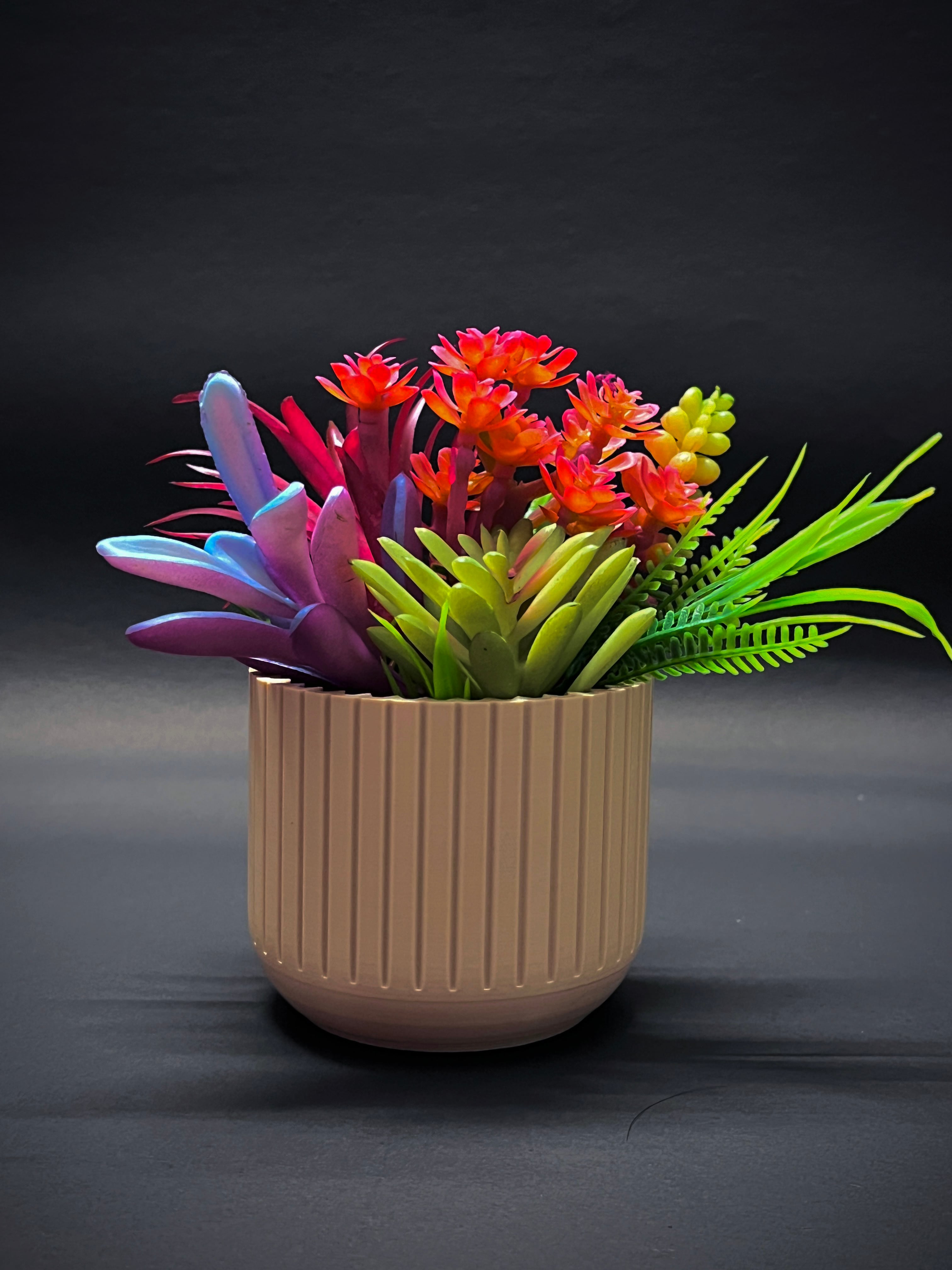 Vase for succulent 3d model