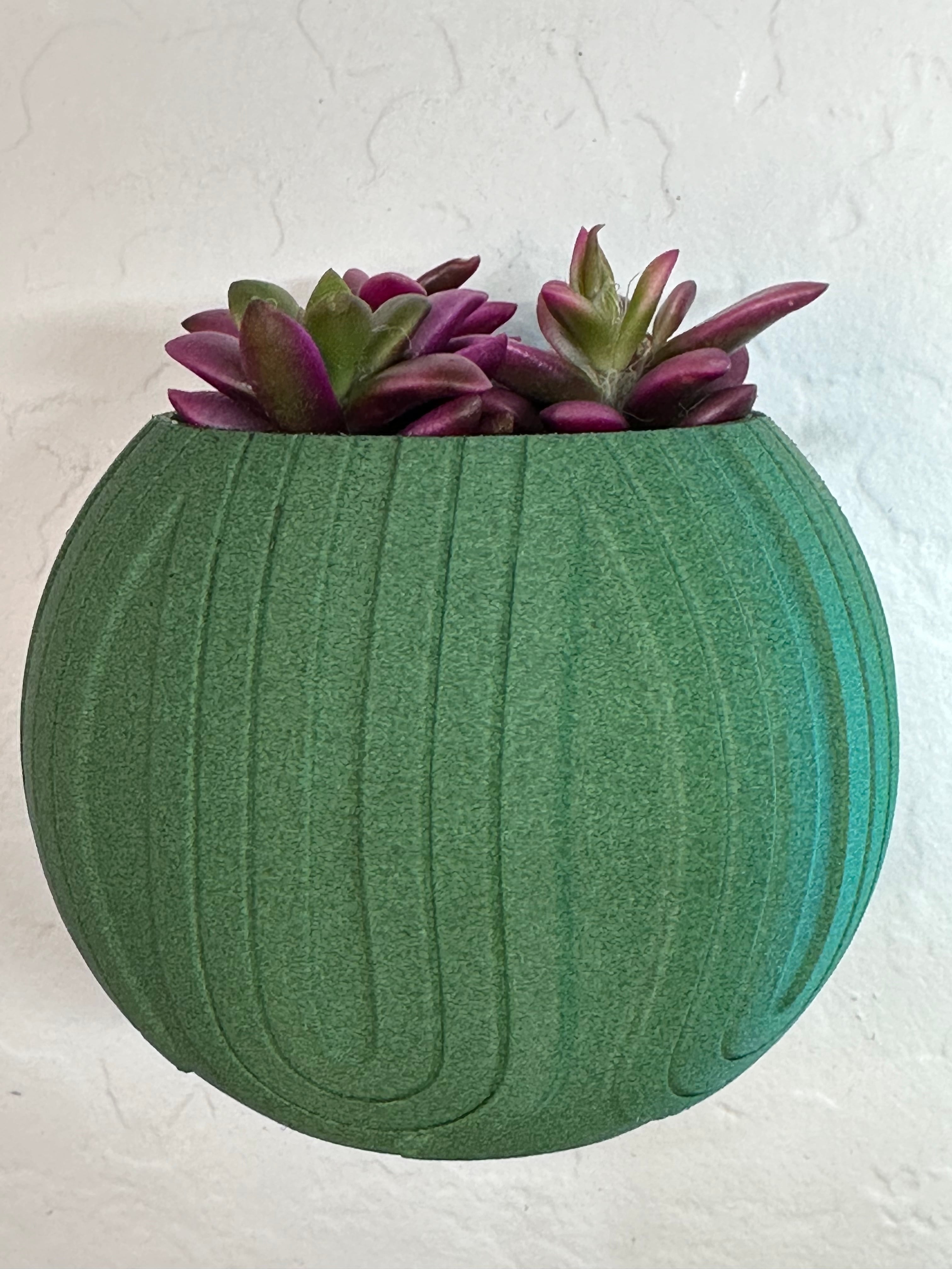 Modern Wall Mounted Succulent Pot 3d model