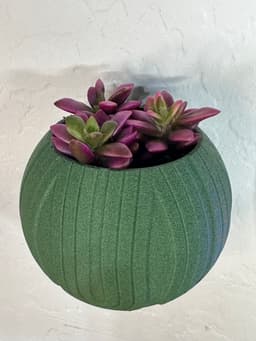 Modern Wall Mounted Succulent Pot 3d model