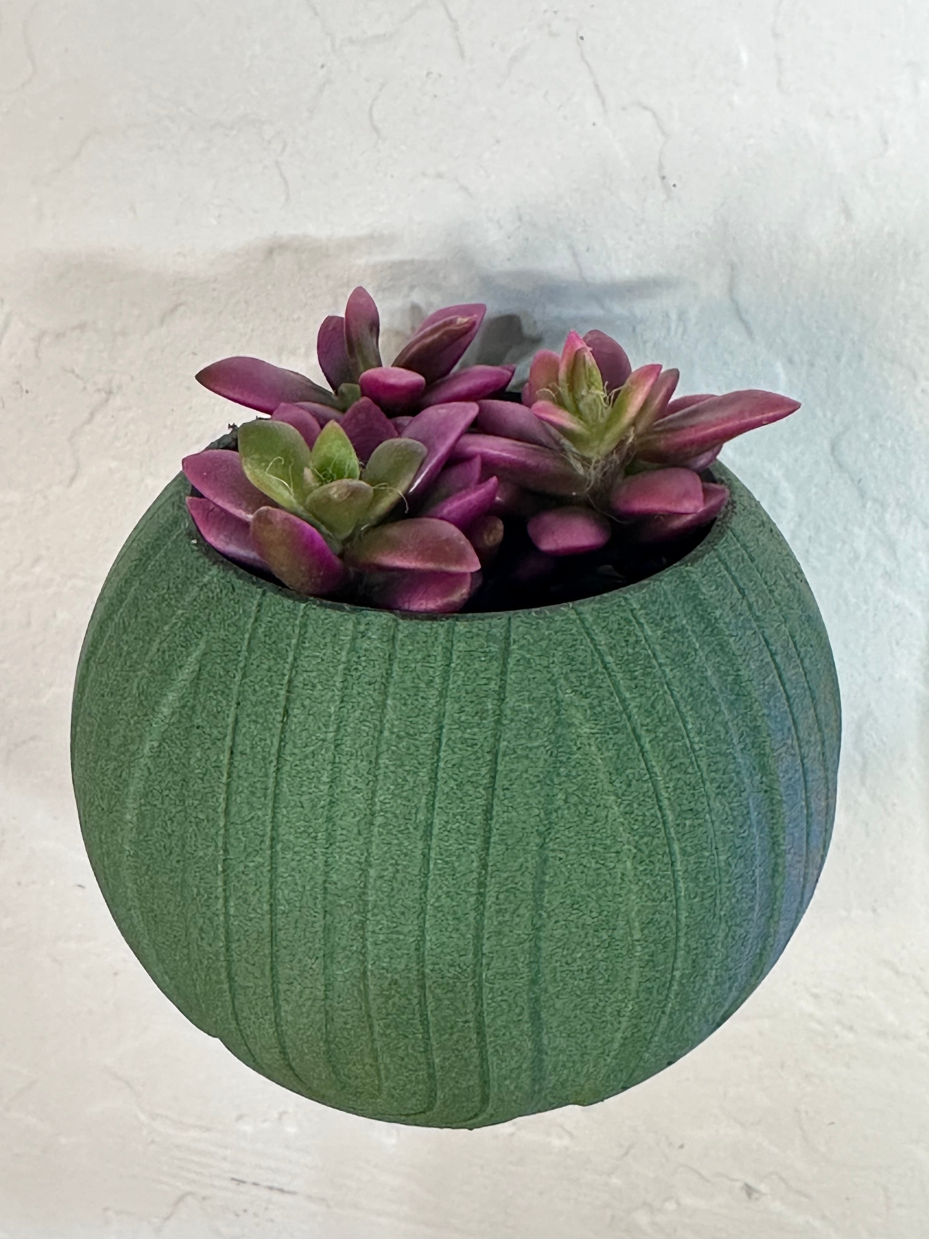 Modern Wall Mounted Succulent Pot 3d model