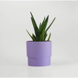 Stepped Cylindrical Planter - basic 3d model
