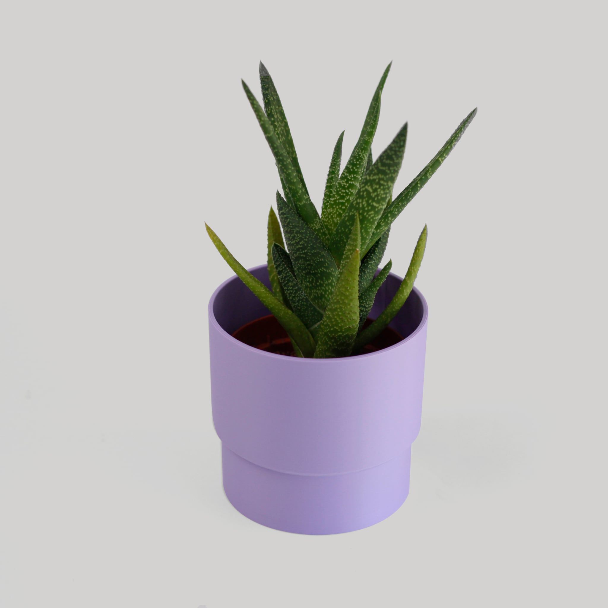 Stepped Cylindrical Planter - basic 3d model