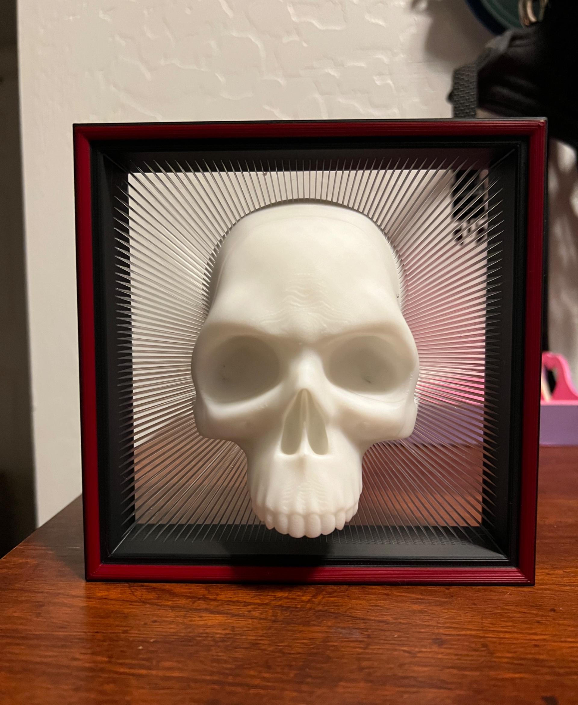 Framed Skull Tensegrity Skull Box - V2 with wall hanging, and frame 3d model