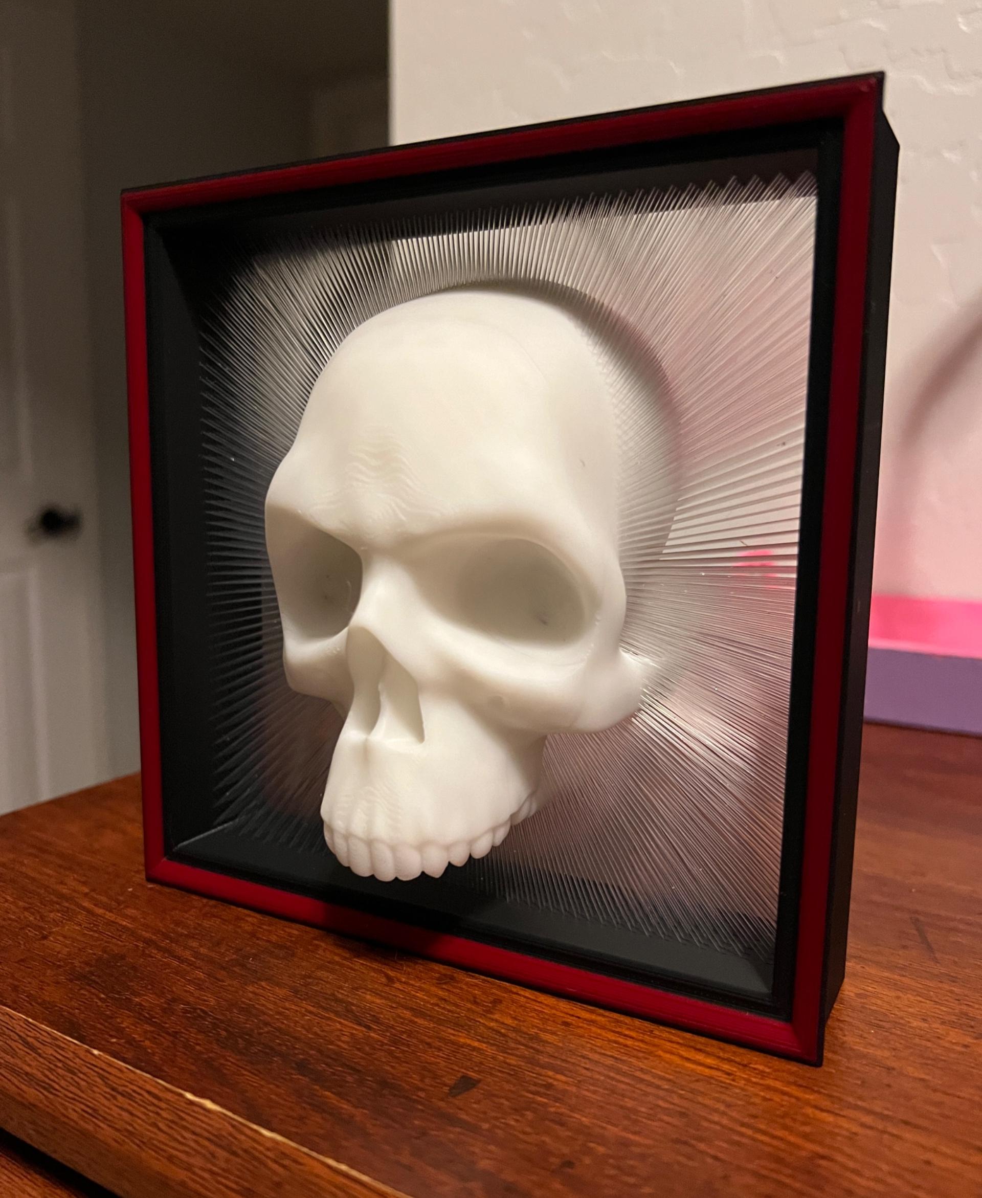 Framed Skull Tensegrity Skull Box - V2 with wall hanging, and frame 3d model
