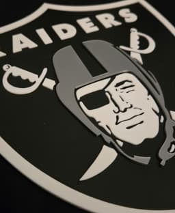 Las Vegas Raiders 3d model