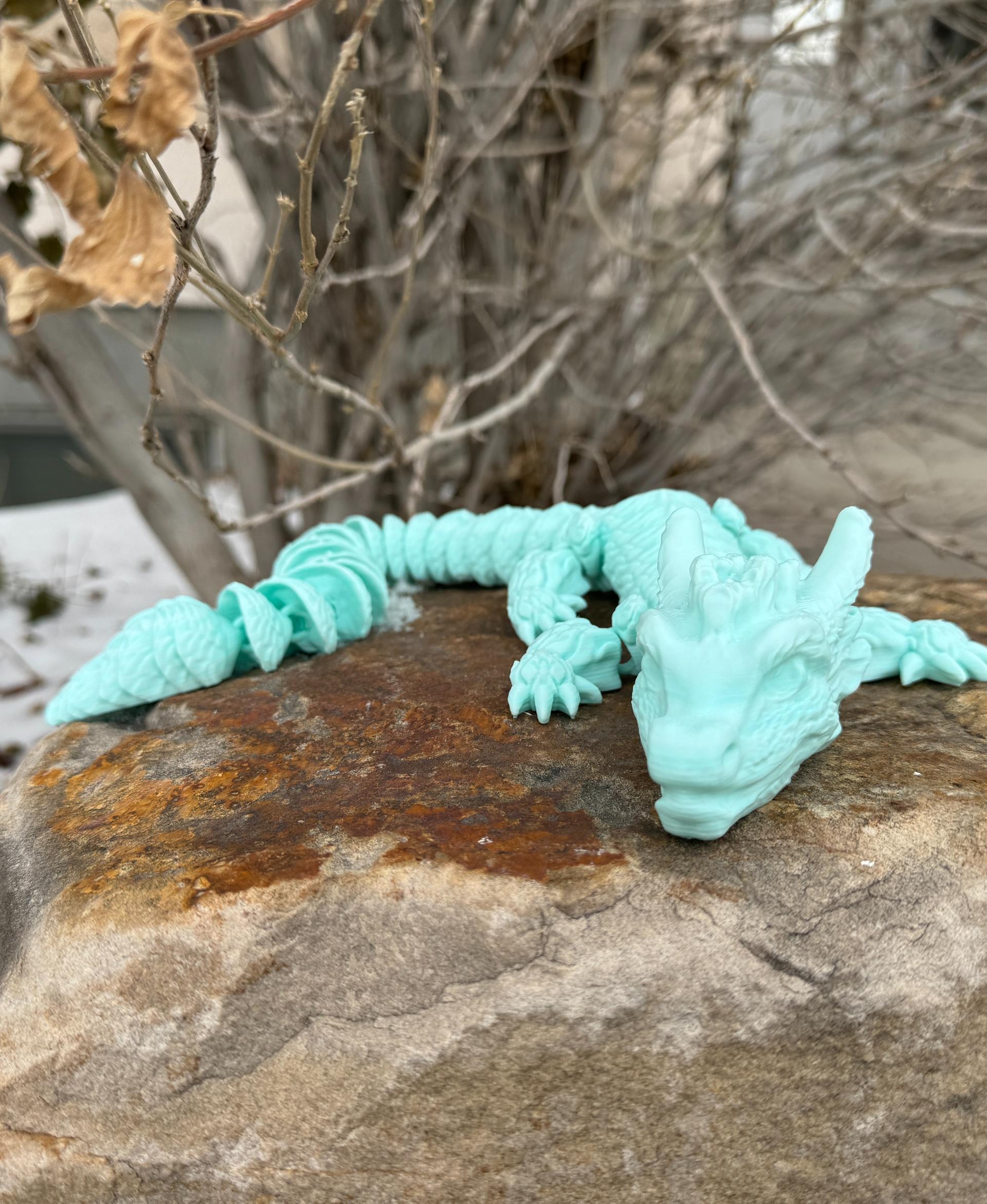 Chip, Wood Dragon - Articulated Dragon Snap-Flex Fidget (Medium Tightness Joints) - It's cold and there's snow on the ground, so Chip is wearing his Winter colors to blend in a little better!

Printed at 122% scale on the Bambu X1C with Bambu Arctic Whisper PLA Basic at 0.2mm layer height. - 3d model
