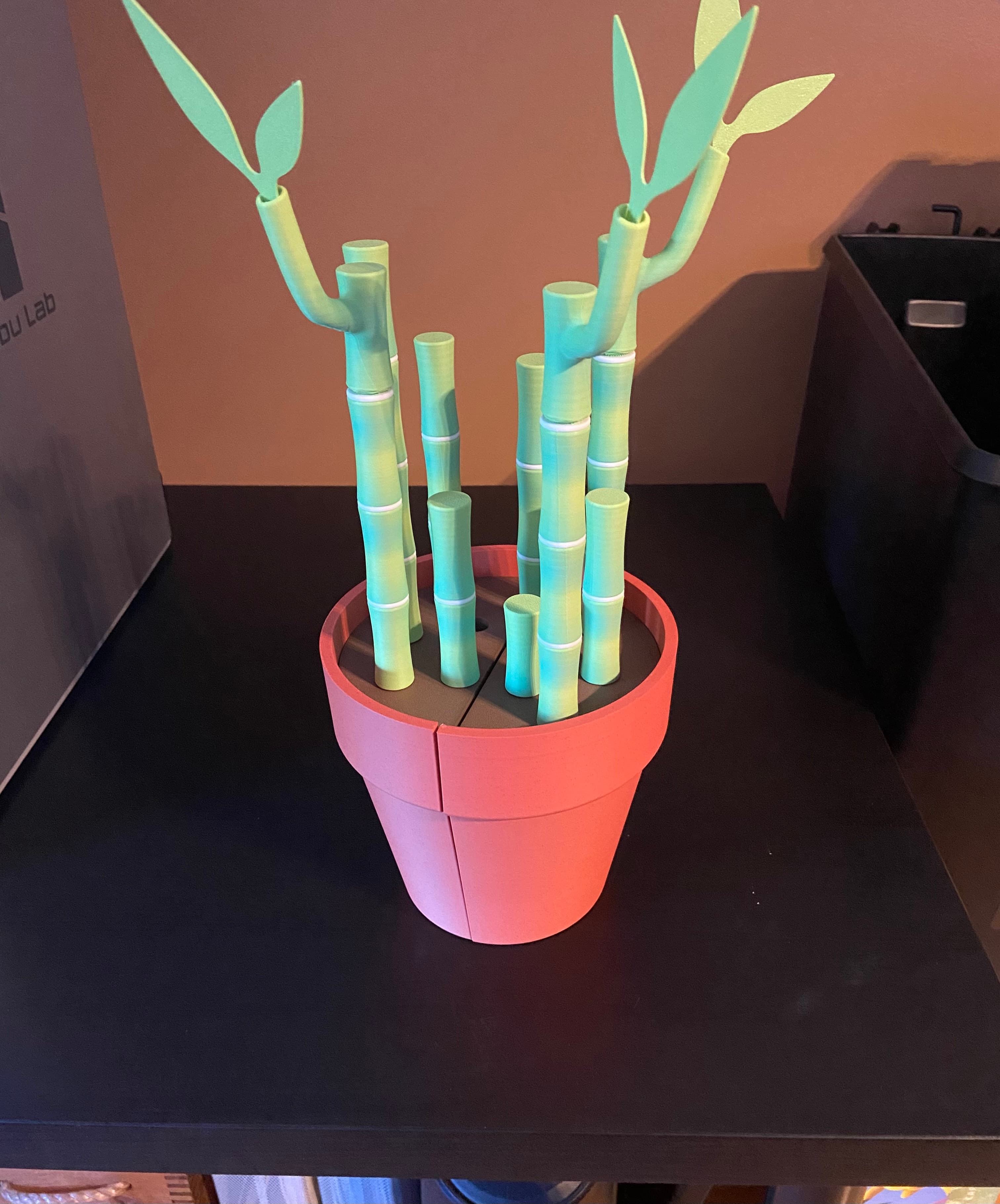 Repost for the giveaway, made for my sister for her birthday! Turned out great, I didn’t use supports for the pot and used the provided 3MF file for most of the parts.