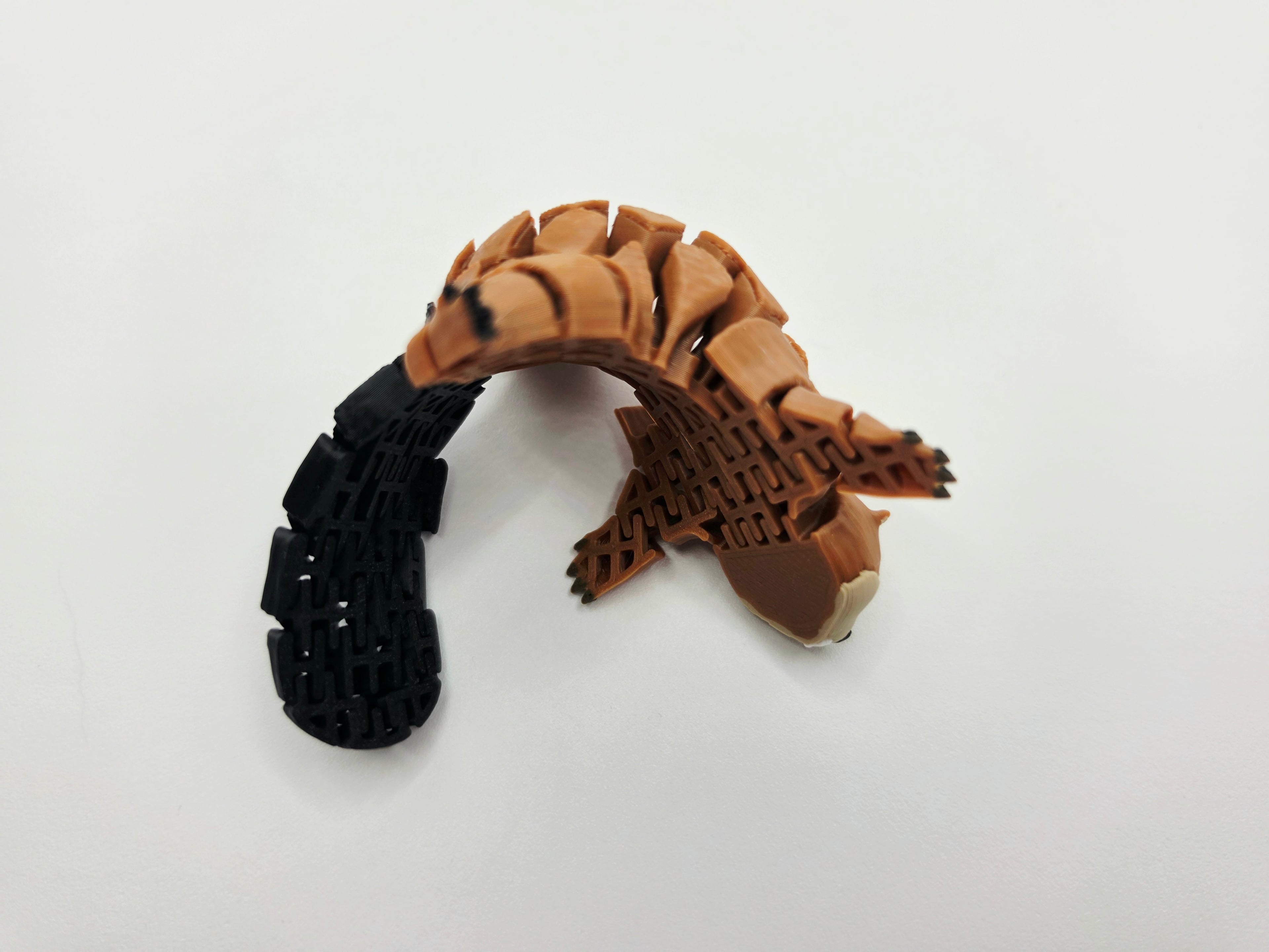 Cute Flexi Beaver 3d model