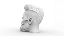 Beard Skull 3d model