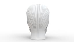 Beard Skull 3d model