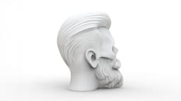 Beard Skull 3d model