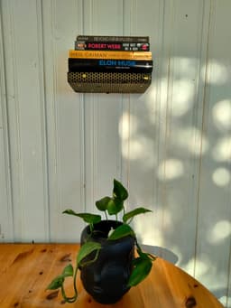 Floating Book Shelf Illusion 3d model