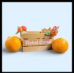 Rebel Citrus Friends - Orange Dragon and Turtle 3d model