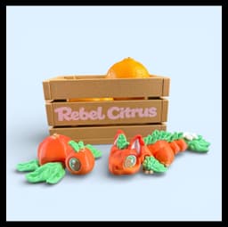 Rebel Citrus Friends - Orange Dragon and Turtle 3d model