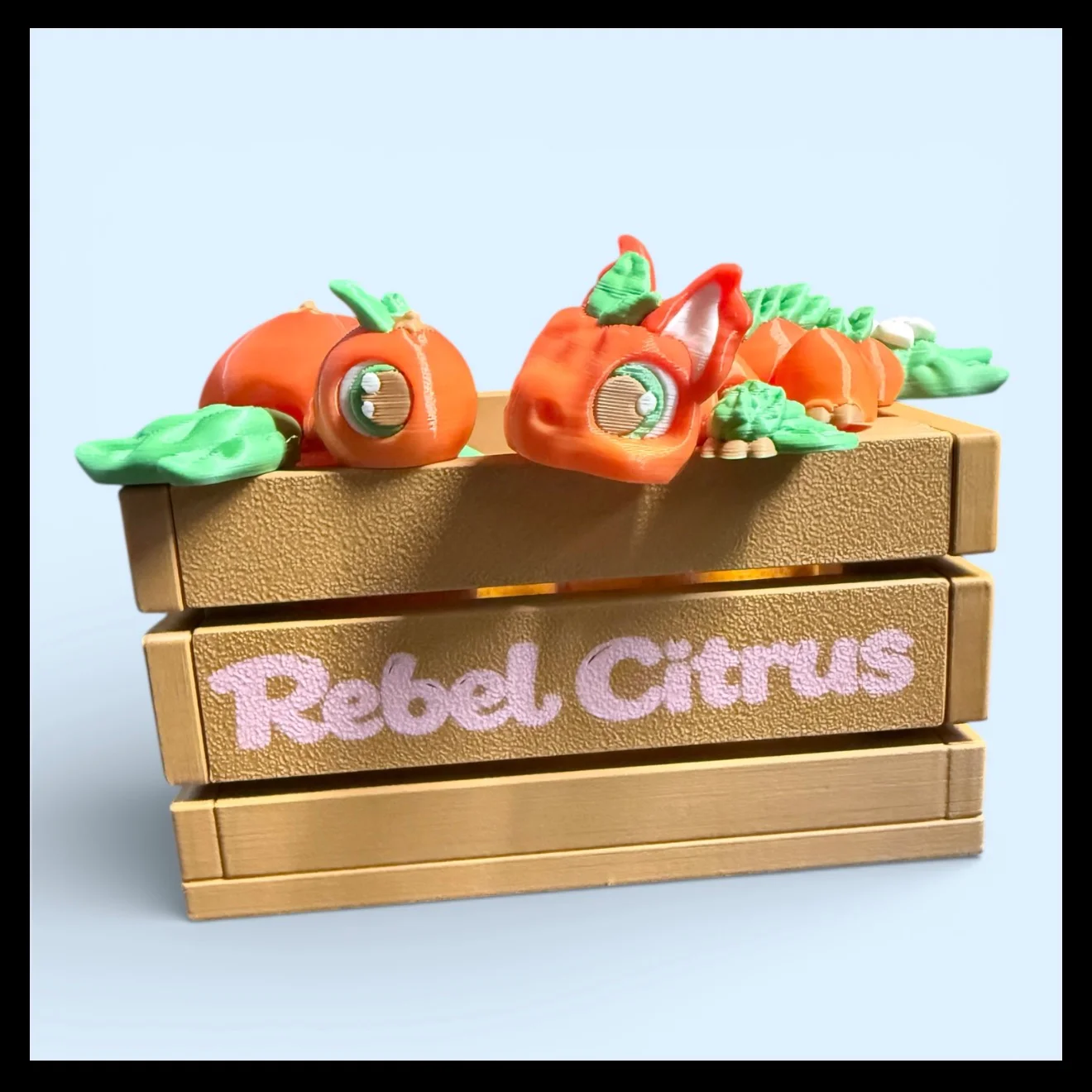 Rebel Citrus Friends - Orange Dragon and Turtle 3d model