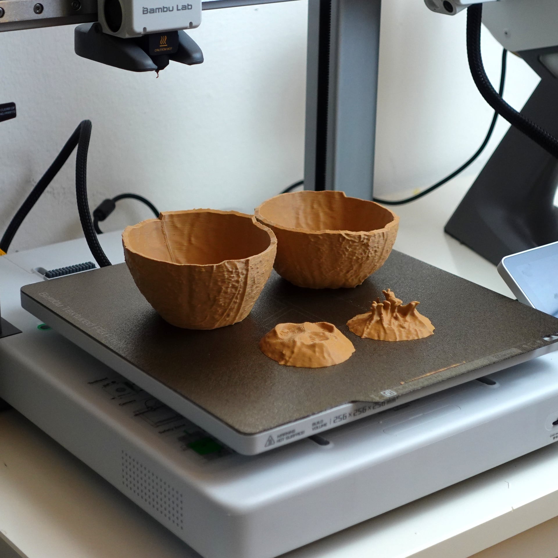 Coconut bowls 3d model