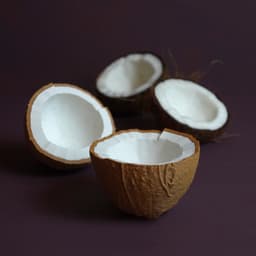 Coconut bowls 3d model