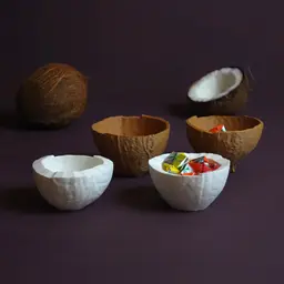 Coconut bowls 3d model