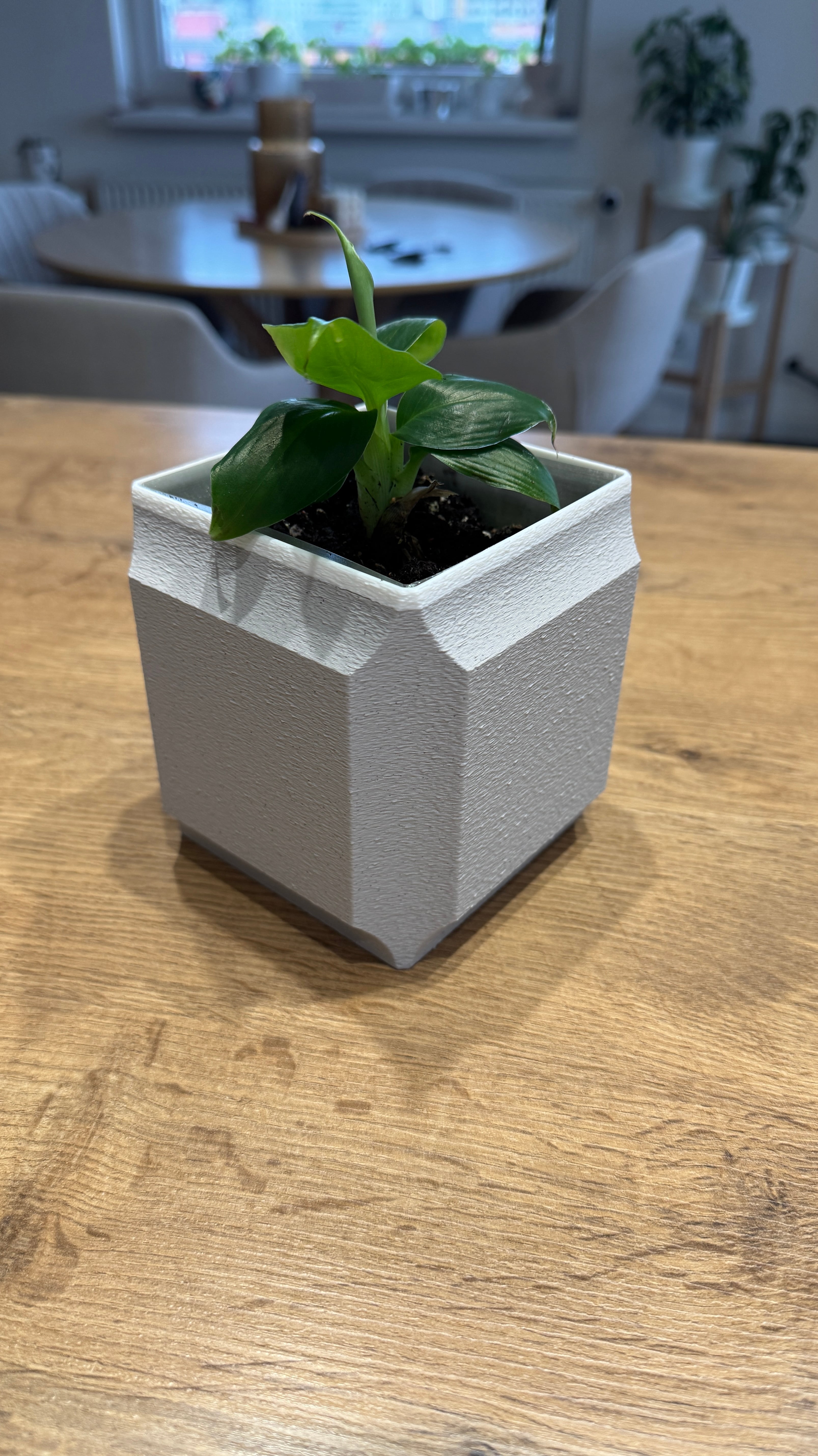 Cubic planter 3d model