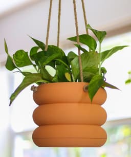 Hanging Planter Pod with Twist-Off Drain Plate 3d model