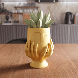 Face Silhouette Emotion Planter / Vase Statue 3d model