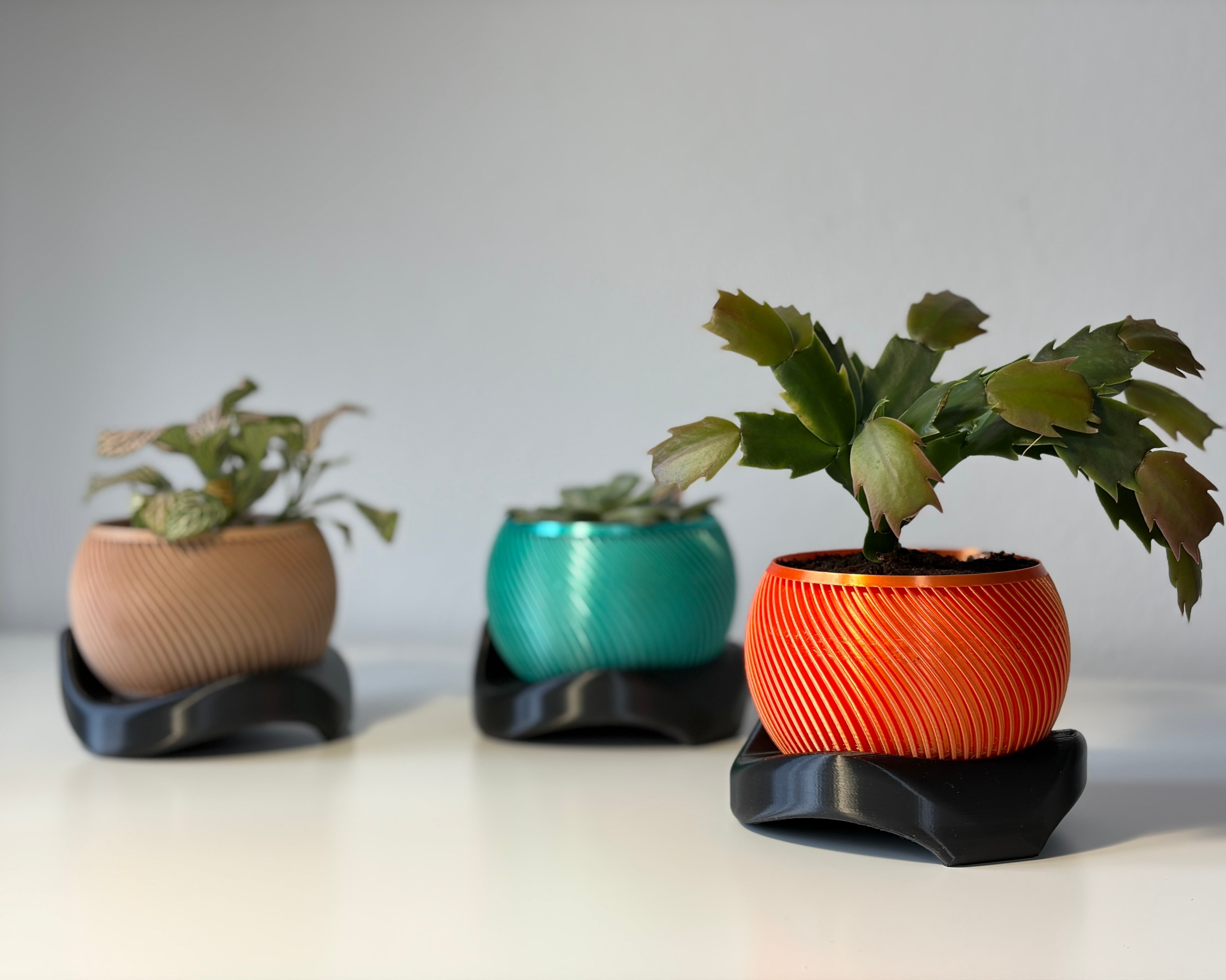 Wavy flowerpots 3d model