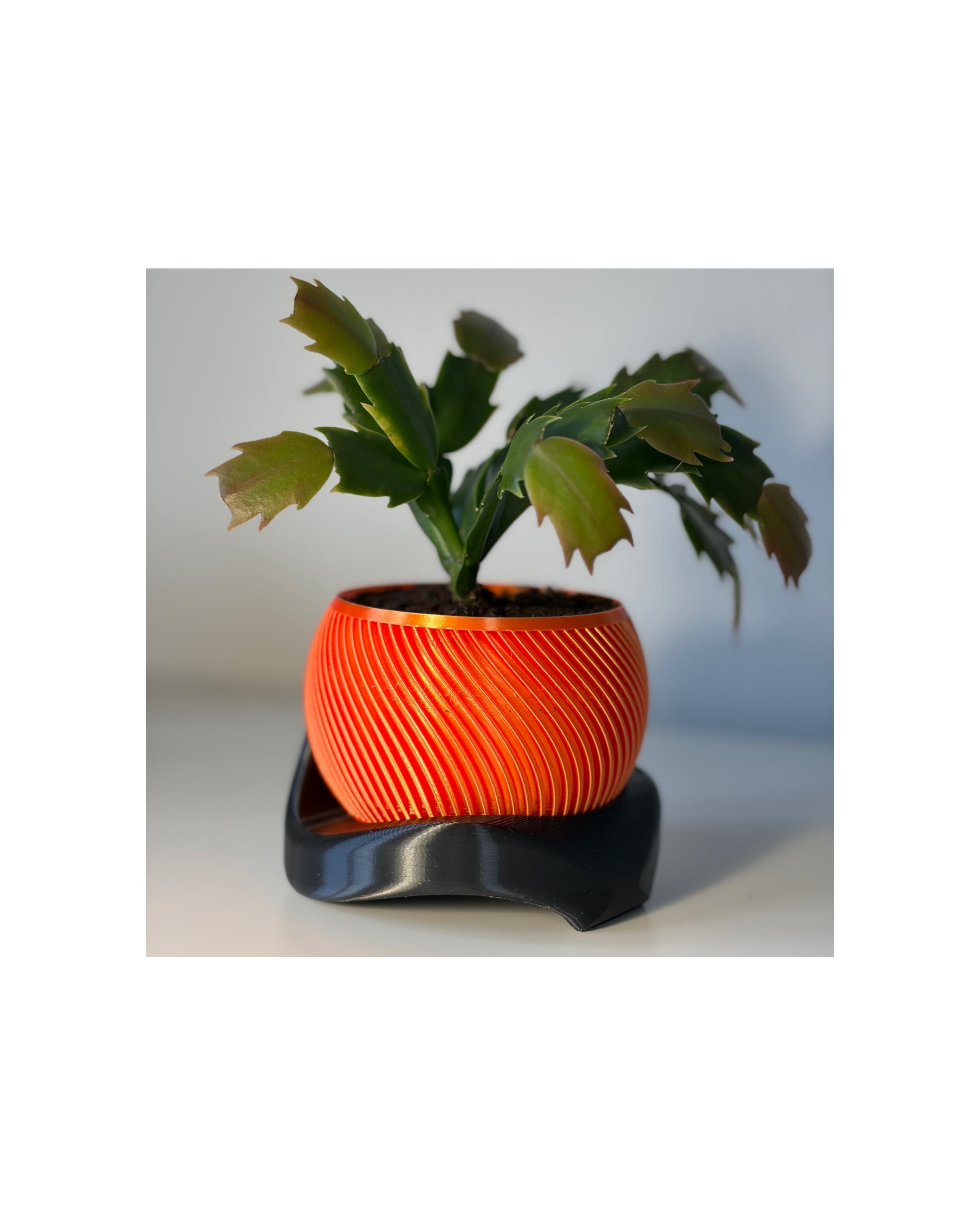 Wavy flowerpots 3d model