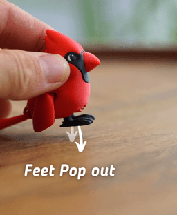 Clever Cardinal - Articulated Fidget Cardinal - Ludo animal 3d model