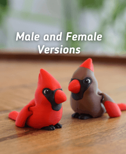 Clever Cardinal - Articulated Fidget Cardinal - Ludo animal 3d model