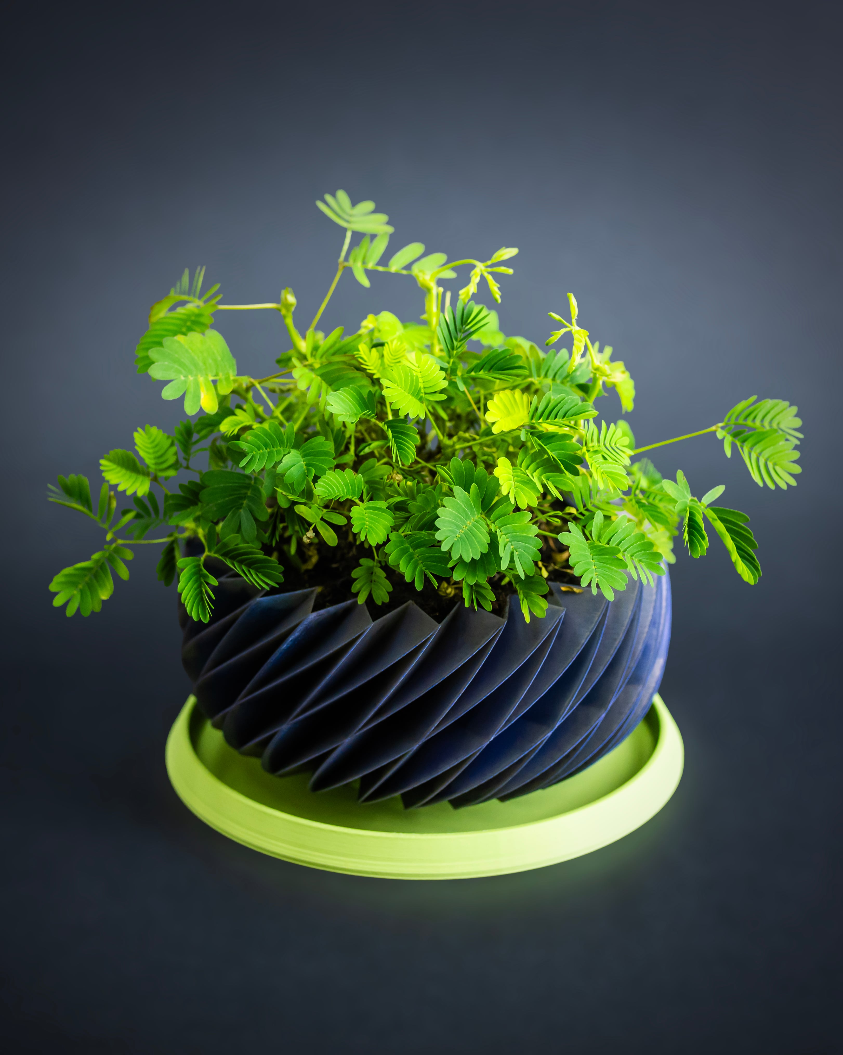 DIAMANTE Planter 02 // Plant Pot or Container 3d model
