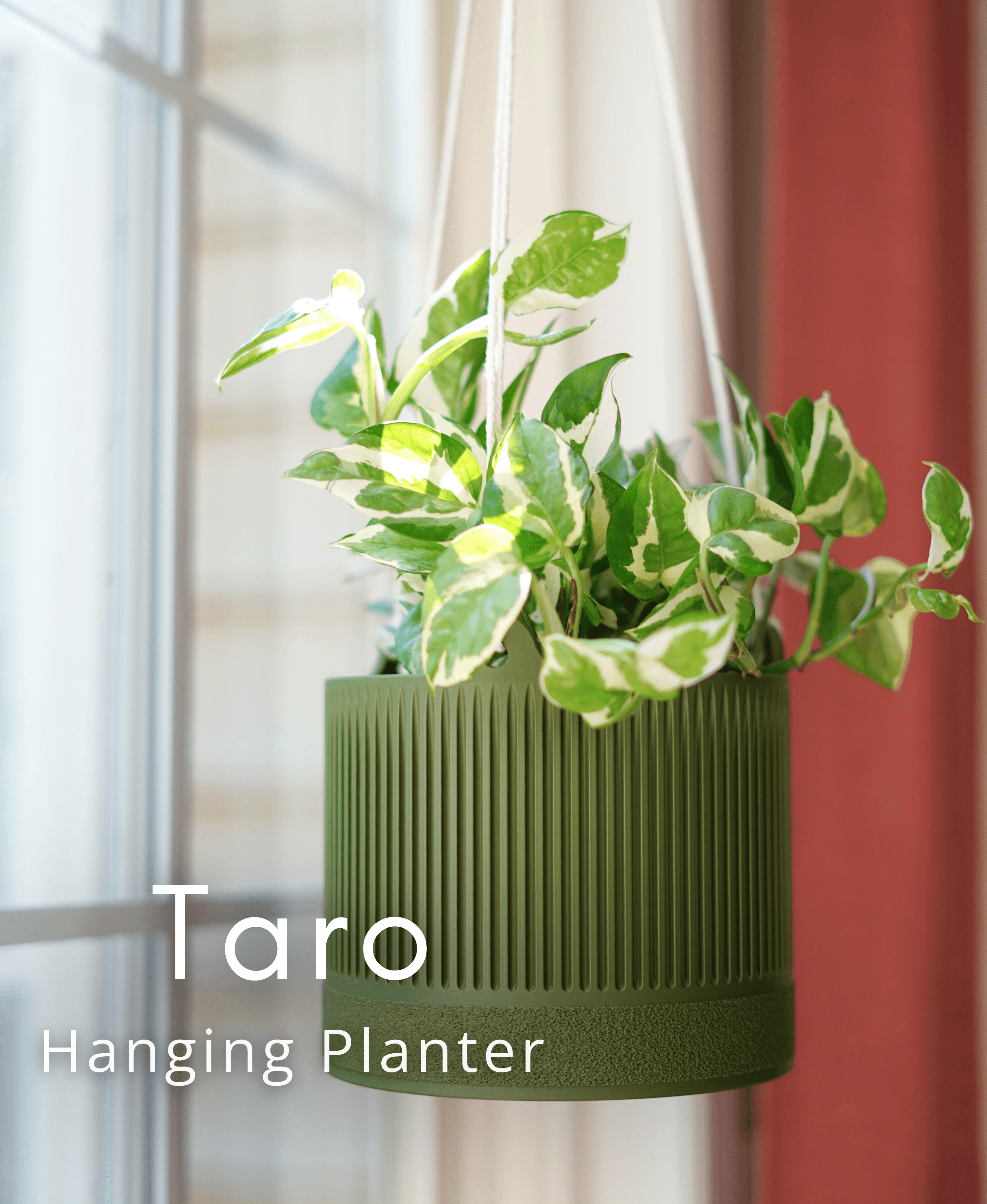 Taro Hanging Planter 3d model