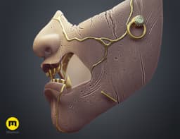 Ghost of Yotei Samurai Mask 3d model