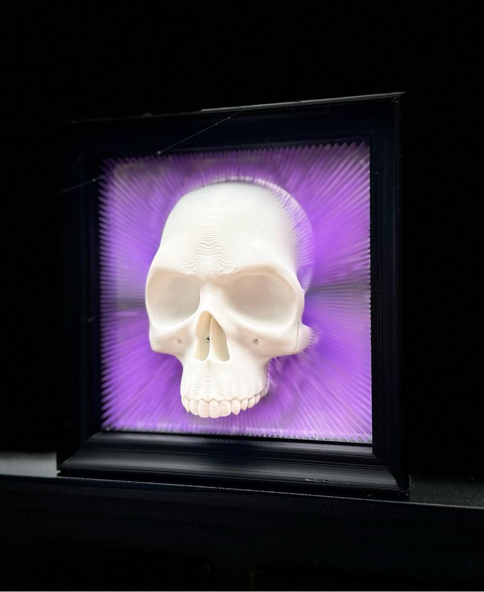 Framed Skull Tensegrity Skull Box  3d model
