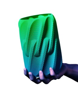 Lipa Vase.STL 3d model