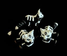 Maine Coon skull cat (Personal Use) 3d model