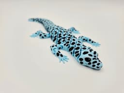 Flexi Leopard Gecko 3d model