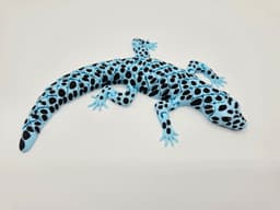 Flexi Leopard Gecko 3d model