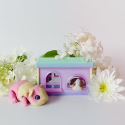 Guinea Pig Flexi with Home 3d model