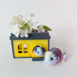 Guinea Pig Flexi with Home 3d model