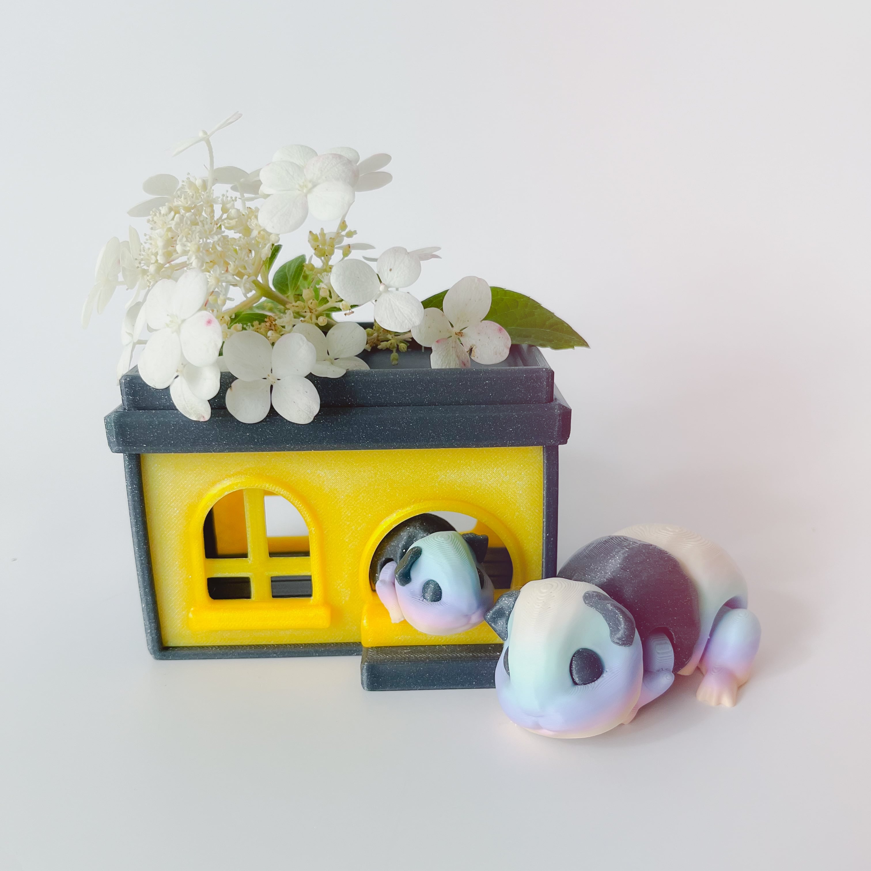 Guinea Pig Flexi with Home 3d model