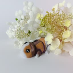 Guinea Pig Flexi with Home 3d model