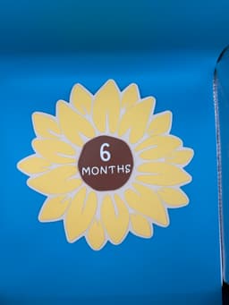Sunflower Baby Milestone 3d model