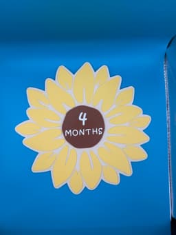 Sunflower Baby Milestone 3d model