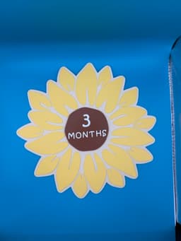 Sunflower Baby Milestone 3d model