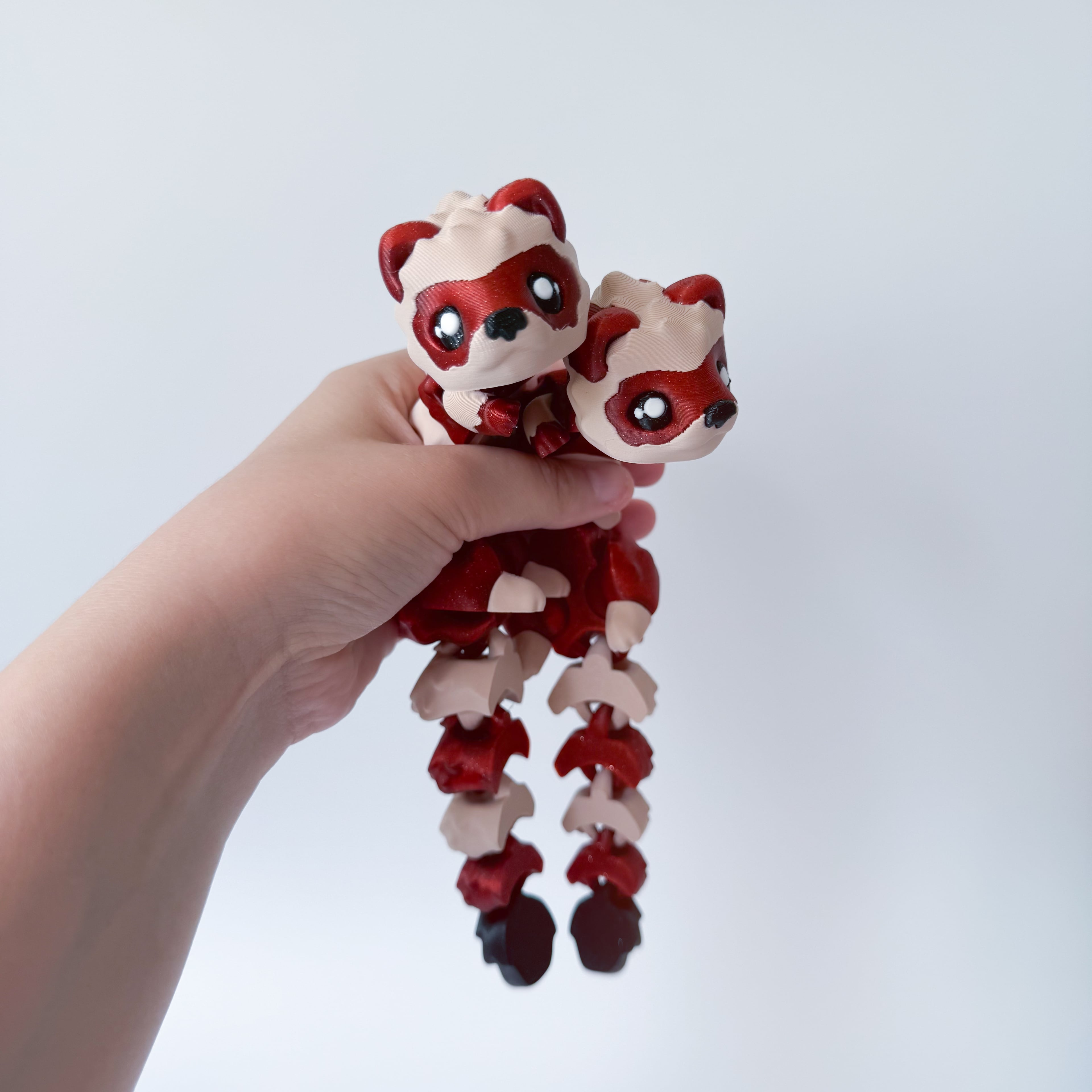 Ferret Flexi 3d model