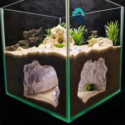 Aquarium & Terrarium Large Corner Cave - Fish, Shrimp, Reptile, Axolotl Hide with Big Openings 3d model