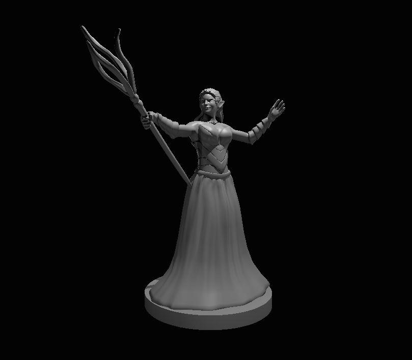 Drow Priestess - Drow Priestess - 3d model render - D&D - 3d model