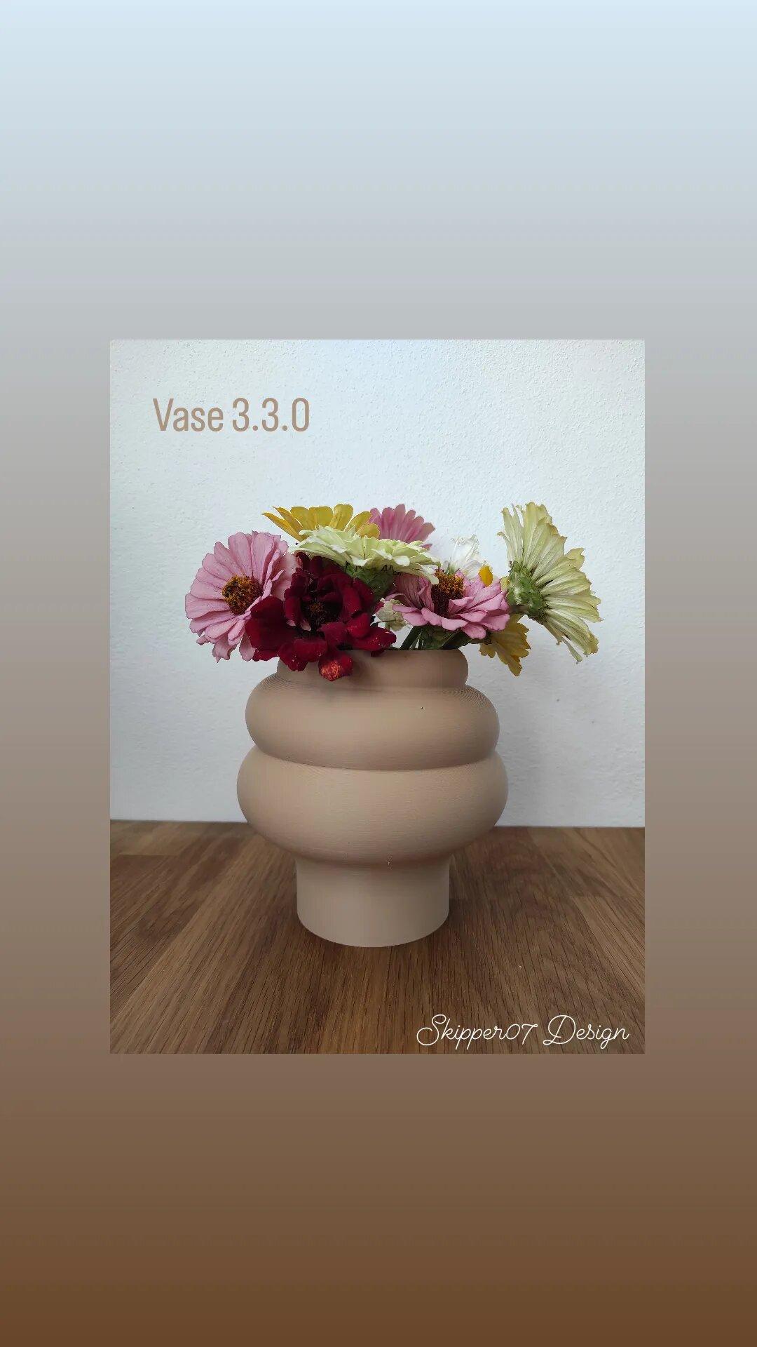 Vase 3.3.0.stl 3d model
